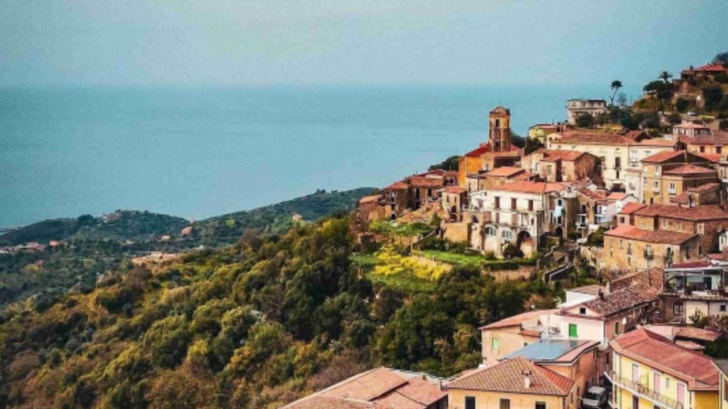 pollica corso manager turismo radici