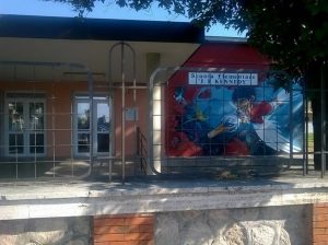 battipaglia abbattuti pini scuola kennedy