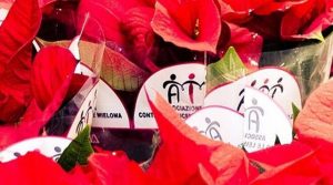 Salerno, tornano le Stelle di Natale Ail: quattro giorni di solidarietà in oltre cento piazze della provincia