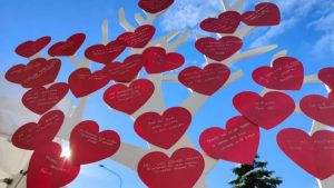 progetto scuole primarie violenza genere camera