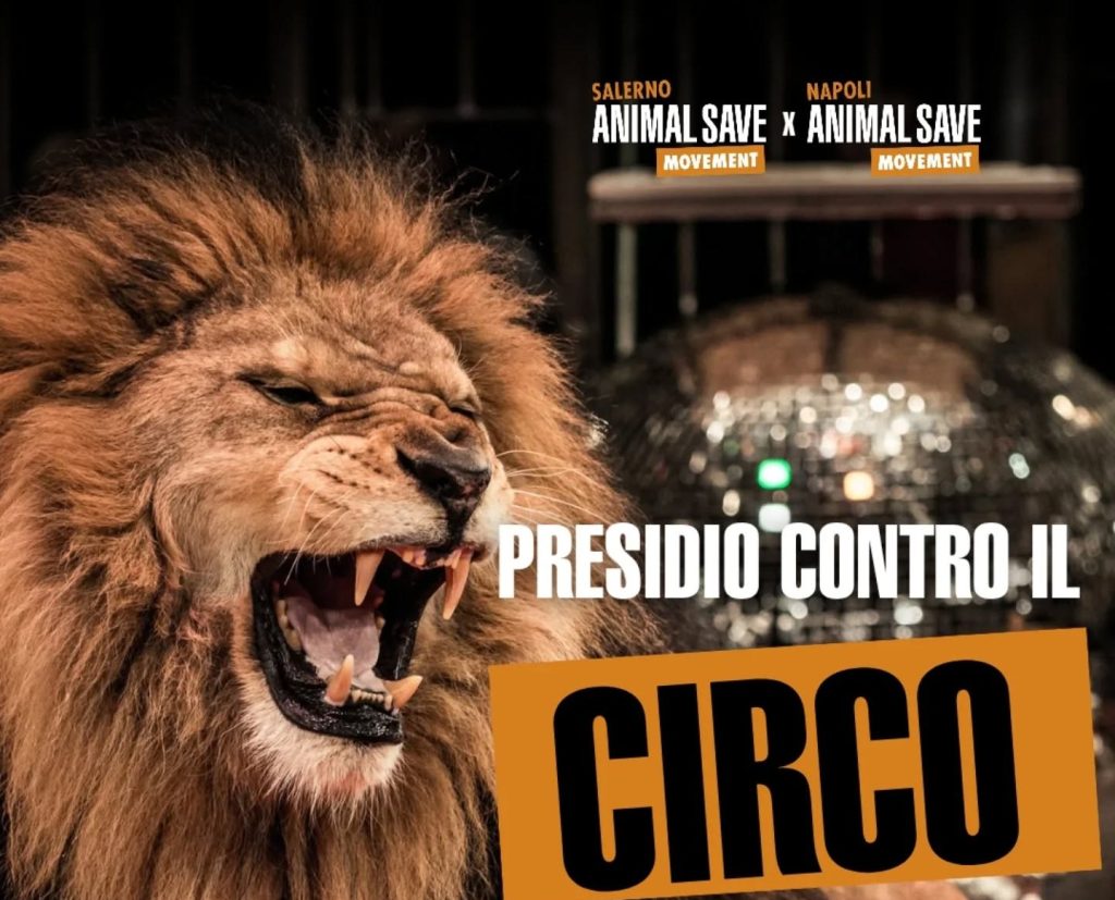 Salerno, manifestazione pacifica contro l’uso di animali nei circhi