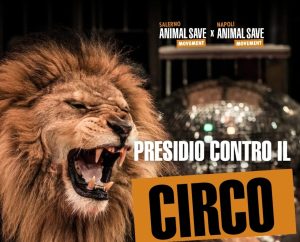 Salerno, manifestazione pacifica contro l’uso di animali nei circhi