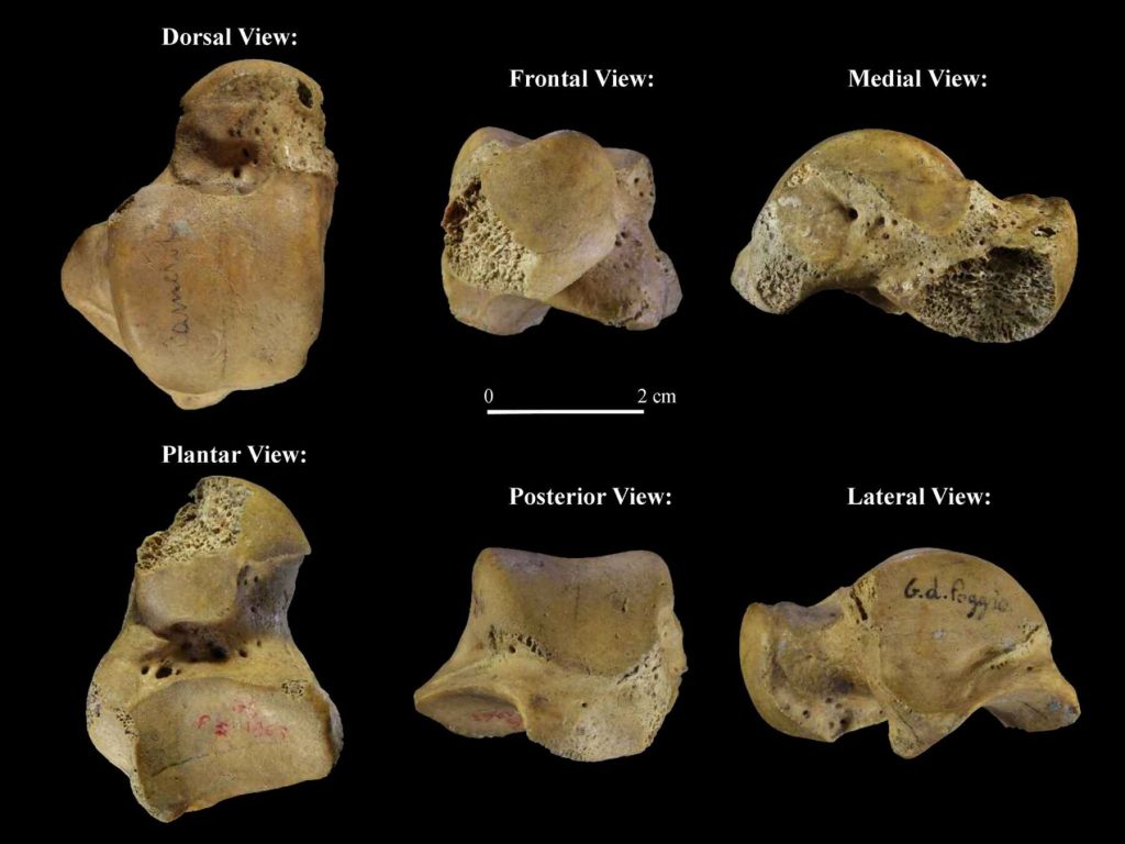 Grotta del Poggio, nuove analisi confermano la presenza dei Neanderthal nel basso Cilento