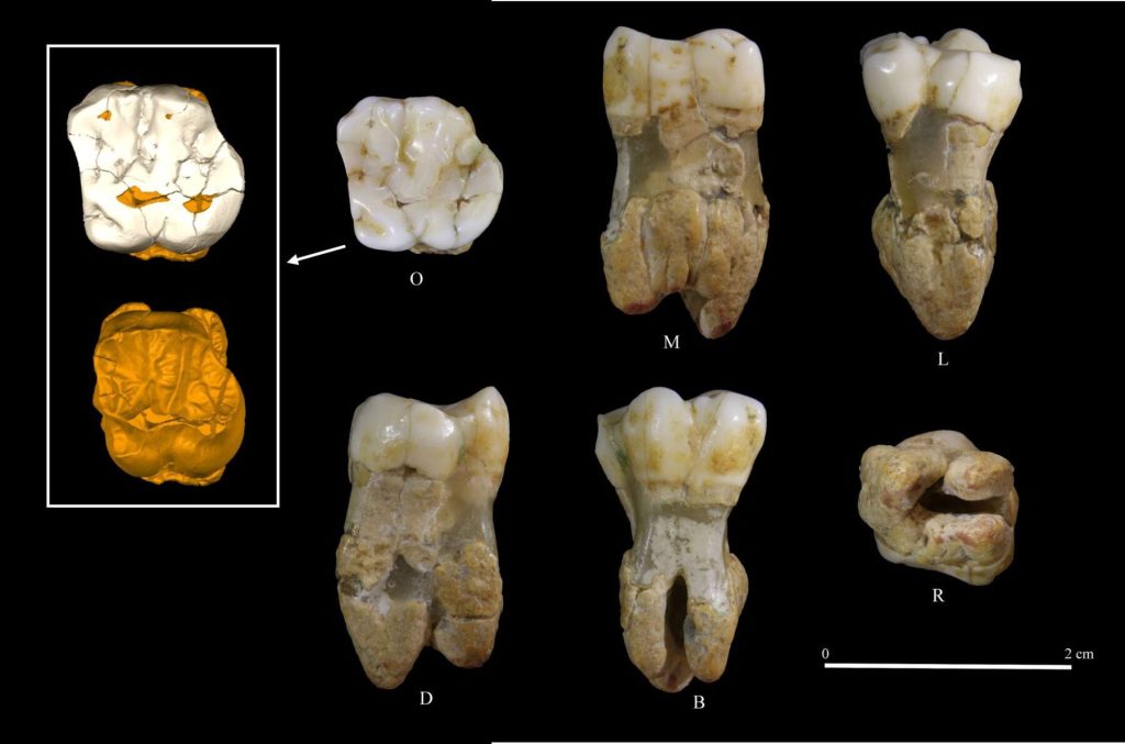 Grotta del Poggio, nuove analisi confermano la presenza dei Neanderthal nel basso Cilento