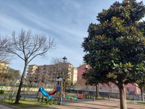 nocera superiore manutenzione verde pubblico