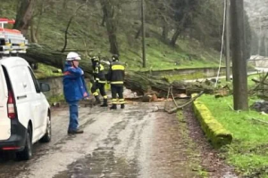 maltempo Cilento alberi caduti