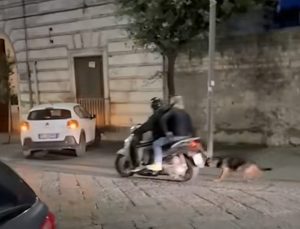 ercolano cane trascinato scooter video shock