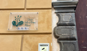 Castellabate Commissione Area Marina Protetta