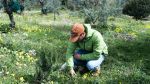 Cilento Patto Aree Interne