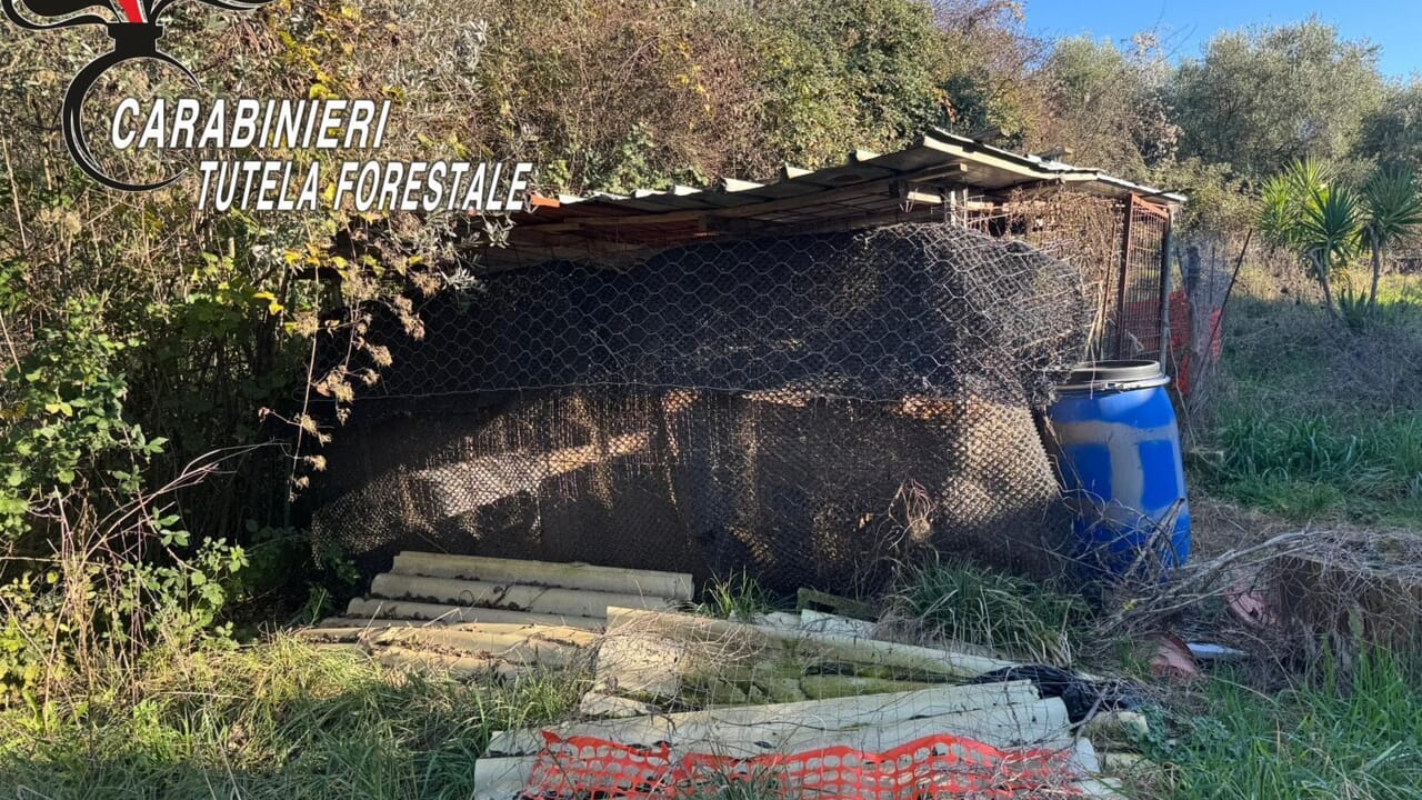 Maltrattamenti animali Ailano