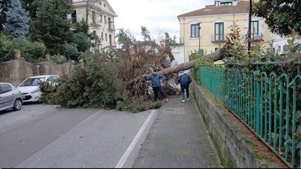Maltempo Cava albero