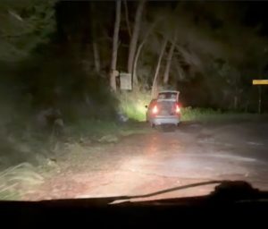 Castellabate, coppia sorpresa a scaricare rifiuti nei boschi: scatta la denuncia