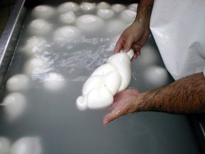 crisi latte bufalino proposte celab