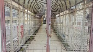 sottopasso allagato arbostella segnalazione Salerno Mobilità