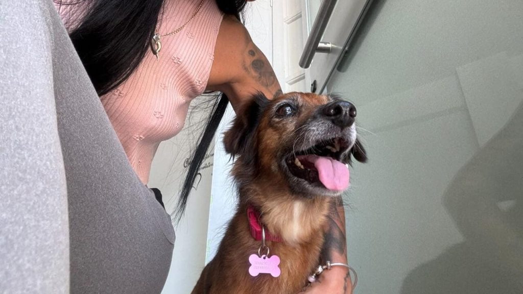 Salerno piange Bella, la cagnolina randagia dal cuore fragile